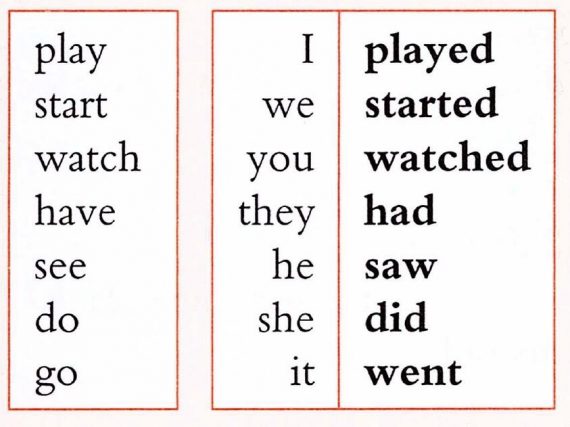 12 I Didn T Did You 一般過去時的否定式與疑問式 Ielts Official Appointed Agent